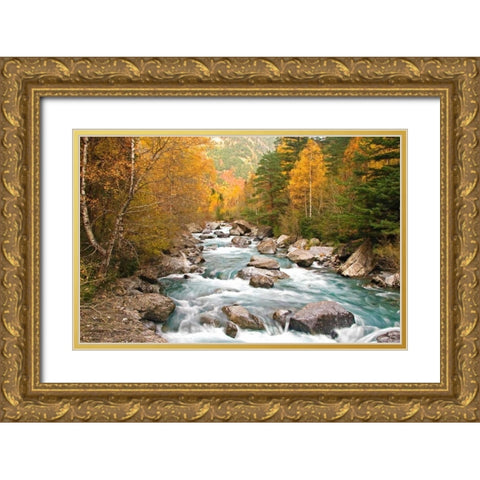 Wild river 830 Gold Ornate Wood Framed Art Print with Double Matting by Palacios, J.A.