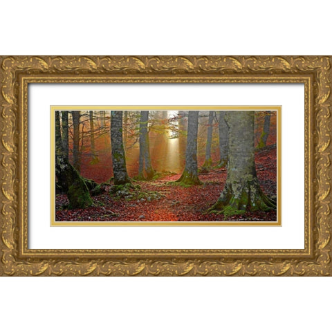 Forest and sunbeam 820 Gold Ornate Wood Framed Art Print with Double Matting by Palacios, J.A.