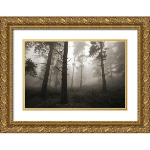 Invasion Gold Ornate Wood Framed Art Print with Double Matting by Vera, Urtzi