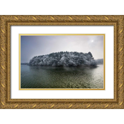 Winter in the swamp Gold Ornate Wood Framed Art Print with Double Matting by Vera, Urtzi