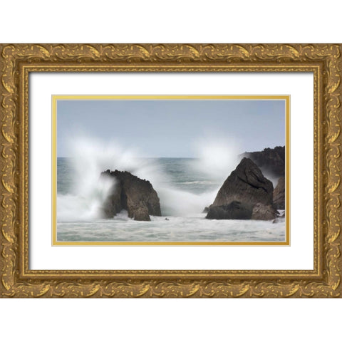 Game waves Gold Ornate Wood Framed Art Print with Double Matting by Vera, Urtzi