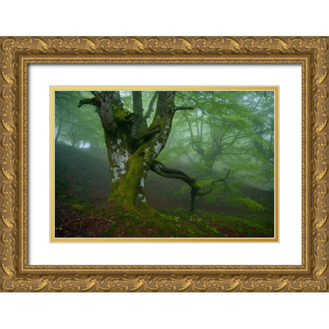 Spring Gold Ornate Wood Framed Art Print with Double Matting by Vera, Urtzi