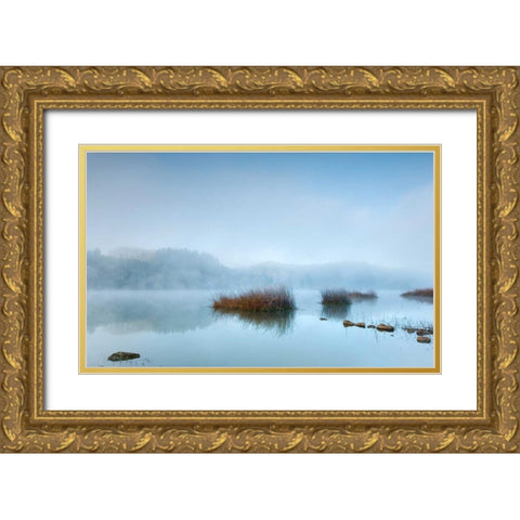 Blue dreams Gold Ornate Wood Framed Art Print with Double Matting by Vera, Urtzi