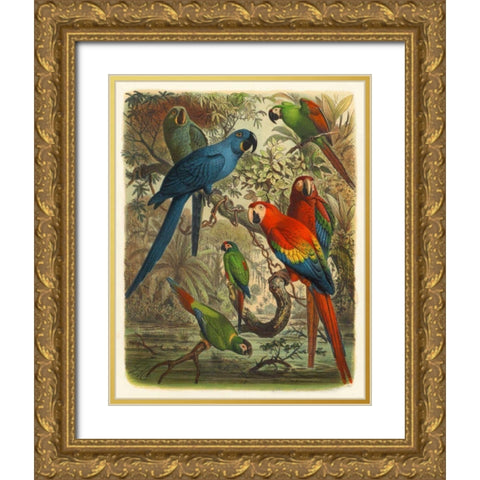 Cassel Tropical Birds III Gold Ornate Wood Framed Art Print with Double Matting by Cassel