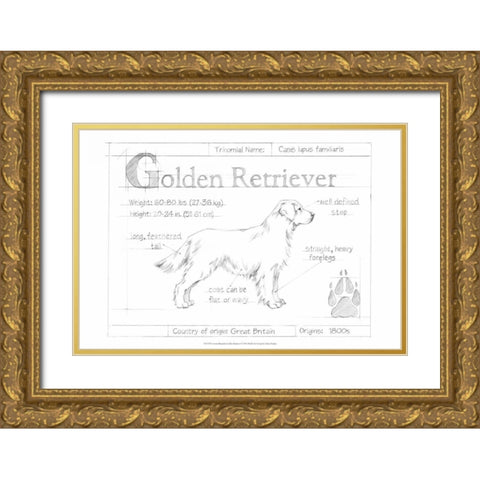 Custom Blueprint Golden Retriever Gold Ornate Wood Framed Art Print with Double Matting by Harper, Ethan