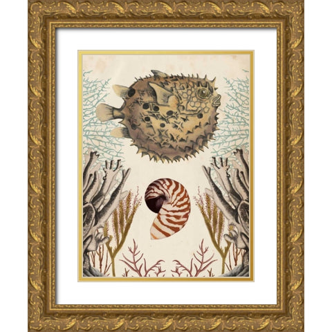 Antiquarian Menagerie - Puffer Fish Gold Ornate Wood Framed Art Print with Double Matting by McCavitt, Naomi