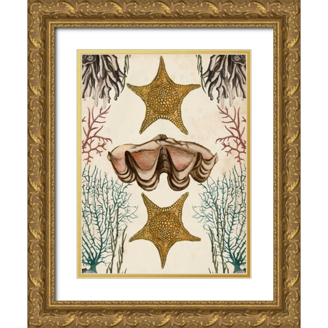 Antiquarian Menagerie - Starfish Gold Ornate Wood Framed Art Print with Double Matting by McCavitt, Naomi