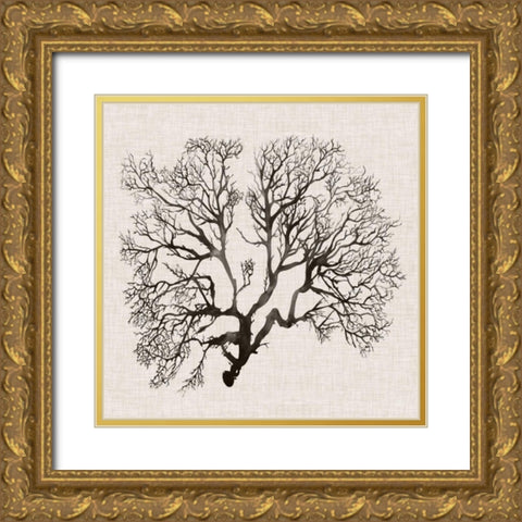Shadow Sea Fan III Gold Ornate Wood Framed Art Print with Double Matting by Popp, Grace