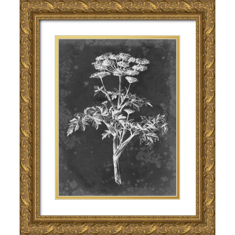 Slate Floral II Gold Ornate Wood Framed Art Print with Double Matting by Harper, Ethan