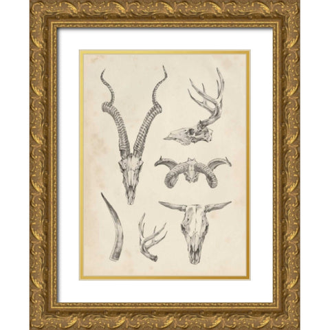 Skull and Antler Study I Gold Ornate Wood Framed Art Print with Double Matting by Harper, Ethan