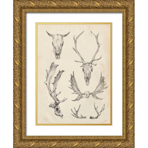Skull and Antler Study II Gold Ornate Wood Framed Art Print with Double Matting by Harper, Ethan