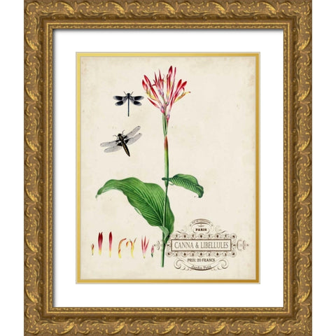 Canna and Dragonflies II Gold Ornate Wood Framed Art Print with Double Matting by Vision Studio