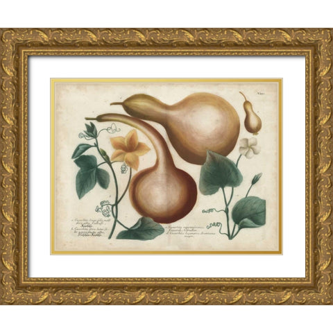 Exotic Weinmann Botanical I Gold Ornate Wood Framed Art Print with Double Matting by Weinmann