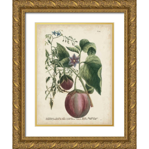 Exotic Weinmann Botanical IV Gold Ornate Wood Framed Art Print with Double Matting by Weinmann