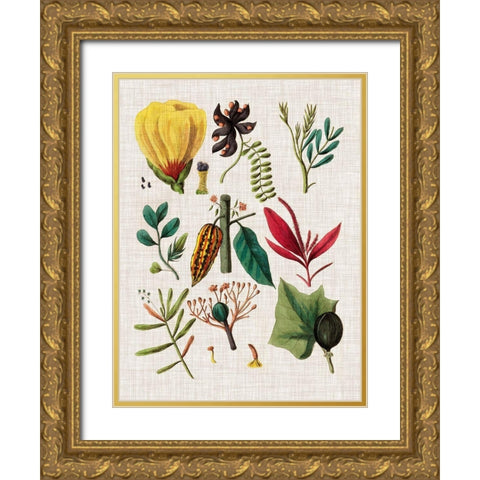 Floral Assemblage I Gold Ornate Wood Framed Art Print with Double Matting by Vision Studio