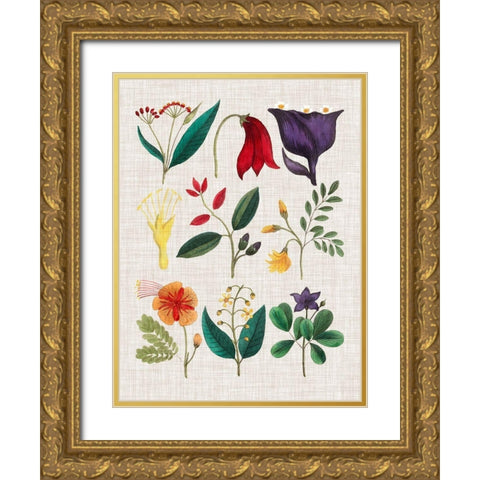 Floral Assemblage IV Gold Ornate Wood Framed Art Print with Double Matting by Vision Studio