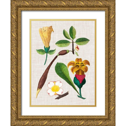 Floral Assemblage V Gold Ornate Wood Framed Art Print with Double Matting by Vision Studio