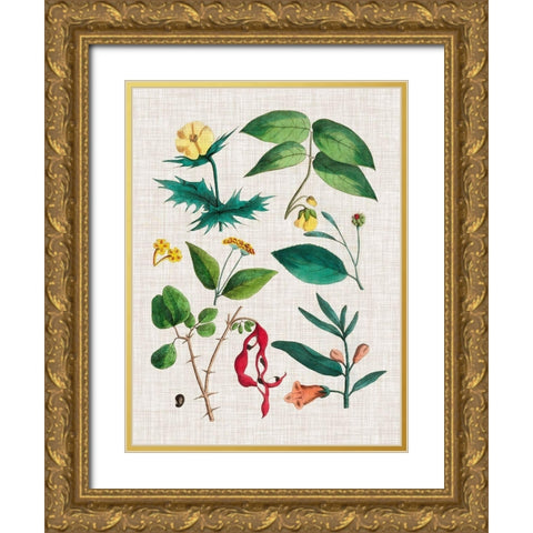 Floral Assemblage VI Gold Ornate Wood Framed Art Print with Double Matting by Vision Studio