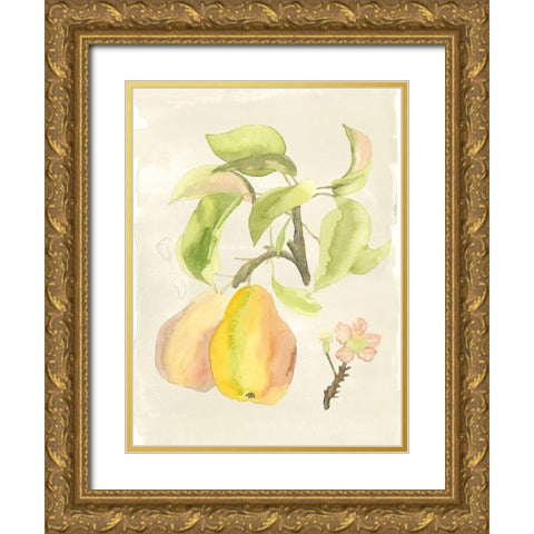 Custom Watercolor Fruit III (ASH) Gold Ornate Wood Framed Art Print with Double Matting by McCavitt, Naomi