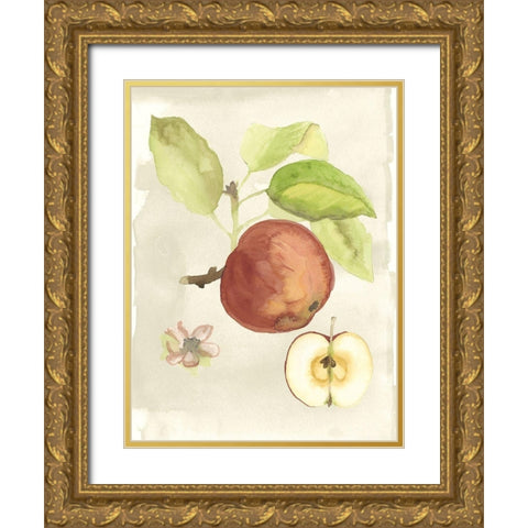 Custom Watercolor Fruit IV (ASH) Gold Ornate Wood Framed Art Print with Double Matting by McCavitt, Naomi