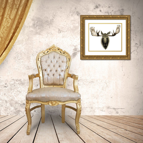 Custom Single Moose  Gold Ornate Wood Framed Art Print with Double Matting by Popp, Grace