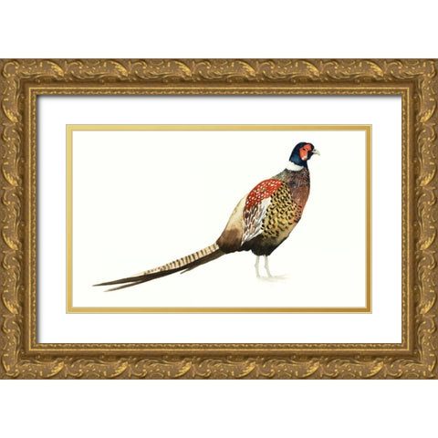 Watercolor Pheasant I Gold Ornate Wood Framed Art Print with Double Matting by Popp, Grace