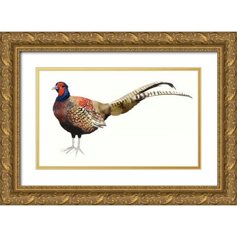 Watercolor Pheasant II Gold Ornate Wood Framed Art Print with Double Matting by Popp, Grace