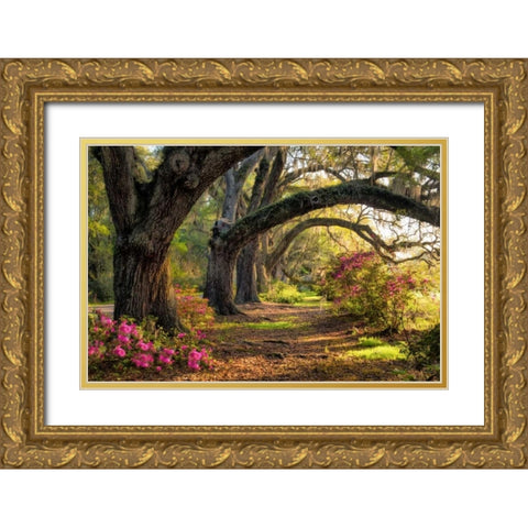 Under the Live Oaks I Gold Ornate Wood Framed Art Print with Double Matting by Head, Danny