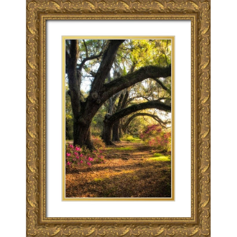 Under the Live Oaks II Gold Ornate Wood Framed Art Print with Double Matting by Head, Danny