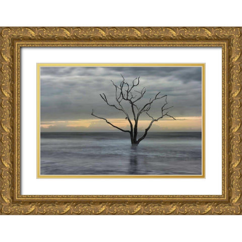 Gray Skies Gold Ornate Wood Framed Art Print with Double Matting by Head, Danny