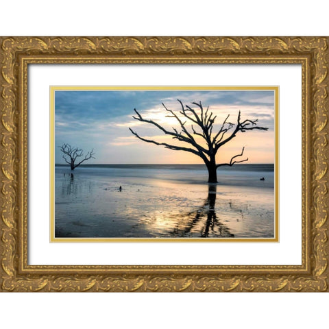 Reflections of Boneyard Beach Gold Ornate Wood Framed Art Print with Double Matting by Head, Danny