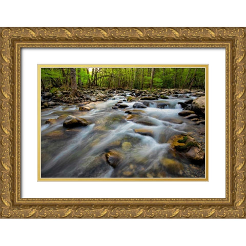 Golden Flow Gold Ornate Wood Framed Art Print with Double Matting by Head, Danny