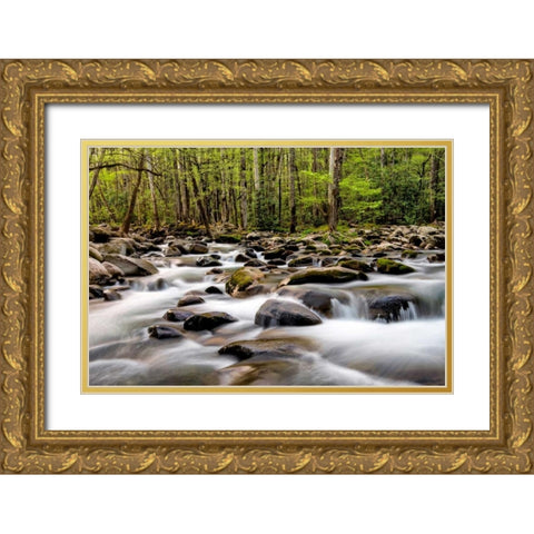Rocky Flow Gold Ornate Wood Framed Art Print with Double Matting by Head, Danny