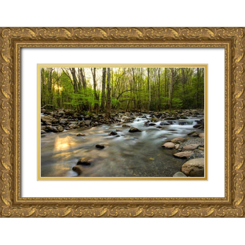 Morning Sunshine I Gold Ornate Wood Framed Art Print with Double Matting by Head, Danny