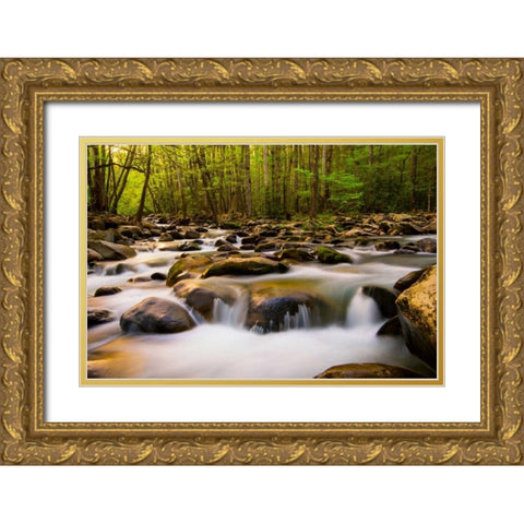 Warm Morning Light Gold Ornate Wood Framed Art Print with Double Matting by Head, Danny