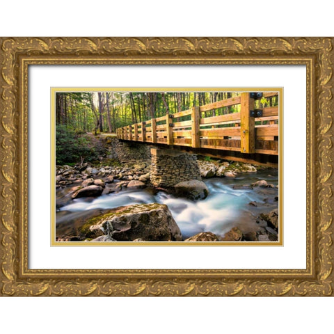 Bridge and Cascade II Gold Ornate Wood Framed Art Print with Double Matting by Head, Danny