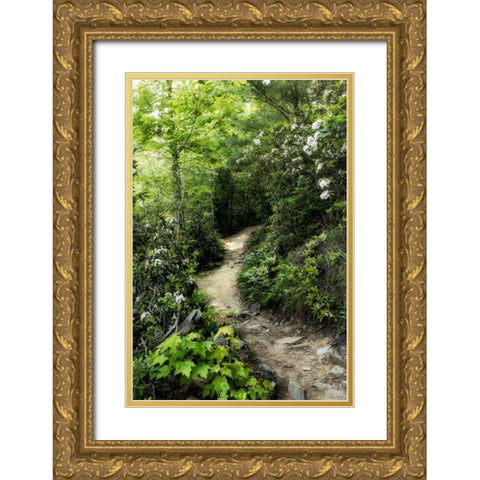 Mountain Trail Gold Ornate Wood Framed Art Print with Double Matting by Head, Danny
