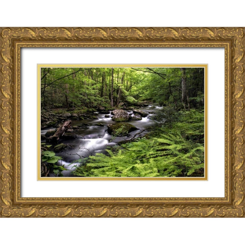 Fern Bank Gold Ornate Wood Framed Art Print with Double Matting by Head, Danny