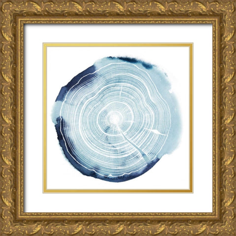 Tree Ring Overlay III Gold Ornate Wood Framed Art Print with Double Matting by Popp, Grace