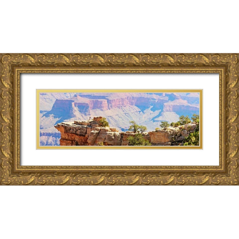 Grand Canyon Panorama III Gold Ornate Wood Framed Art Print with Double Matting by Coomes, Sylvia