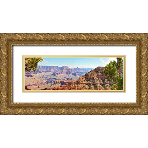 Grand Canyon Panorama IV Gold Ornate Wood Framed Art Print with Double Matting by Coomes, Sylvia