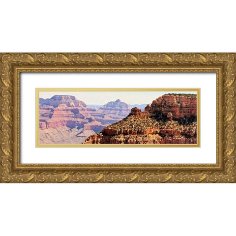 Grand Canyon Panorama V Gold Ornate Wood Framed Art Print with Double Matting by Coomes, Sylvia