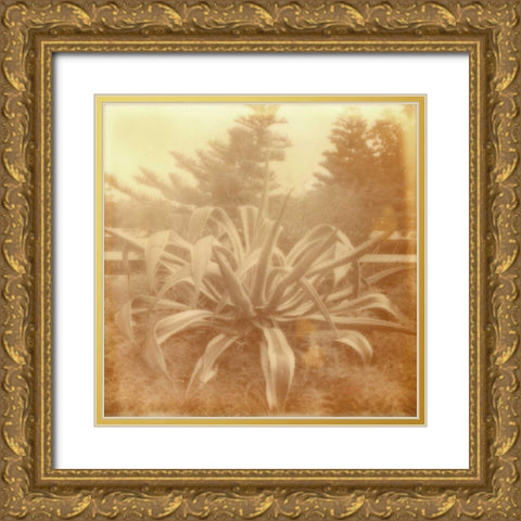 Halia Aloha II Gold Ornate Wood Framed Art Print with Double Matting by Johnson, Jason