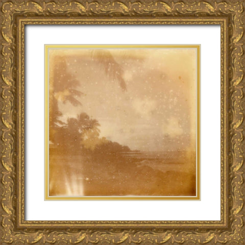 Halia Aloha VI Gold Ornate Wood Framed Art Print with Double Matting by Johnson, Jason