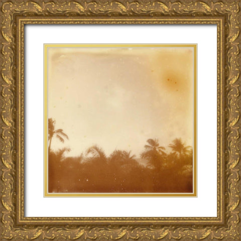 Halia Aloha VII Gold Ornate Wood Framed Art Print with Double Matting by Johnson, Jason