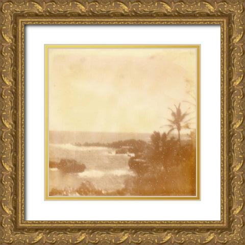 Halia Aloha VIII Gold Ornate Wood Framed Art Print with Double Matting by Johnson, Jason