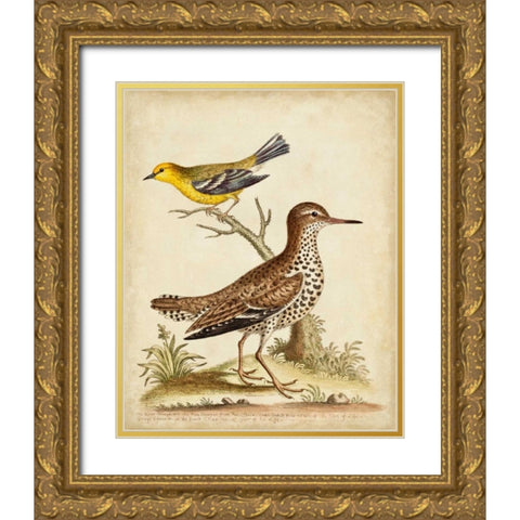 Antique Bird Menagerie I Gold Ornate Wood Framed Art Print with Double Matting by Edwards, George