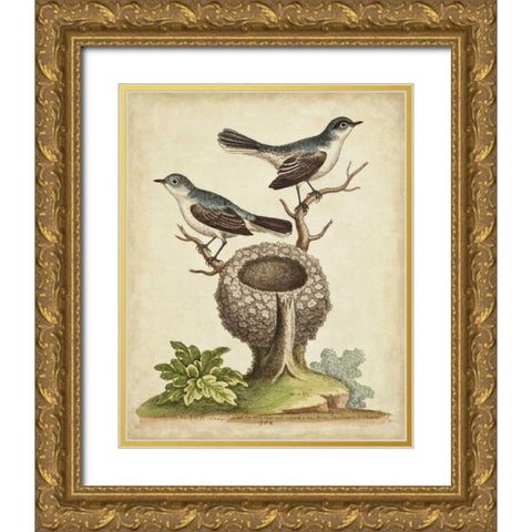 Natural Habitat II Gold Ornate Wood Framed Art Print with Double Matting by Edwards, George