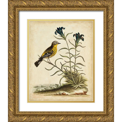 UA CH Natural Habitat III Gold Ornate Wood Framed Art Print with Double Matting by Edwards, George