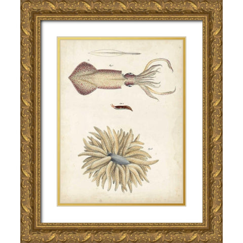 Ocean Curiosities I Gold Ornate Wood Framed Art Print with Double Matting by Dekay